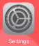 iOS 7 Settings Icon